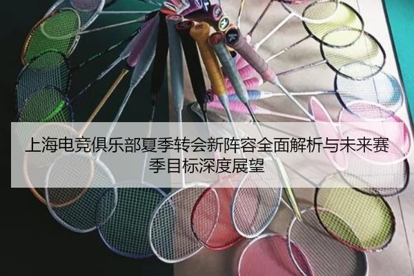 上海电竞俱乐部夏季转会新阵容全面解析与未来赛季目标深度展望 | NANGONG SPORTS